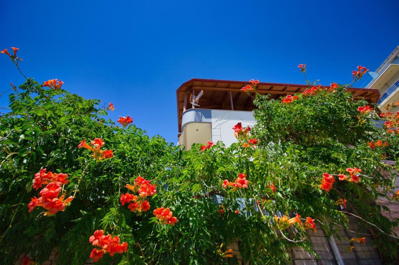 Villa Roel Sarandë エクステリア 写真