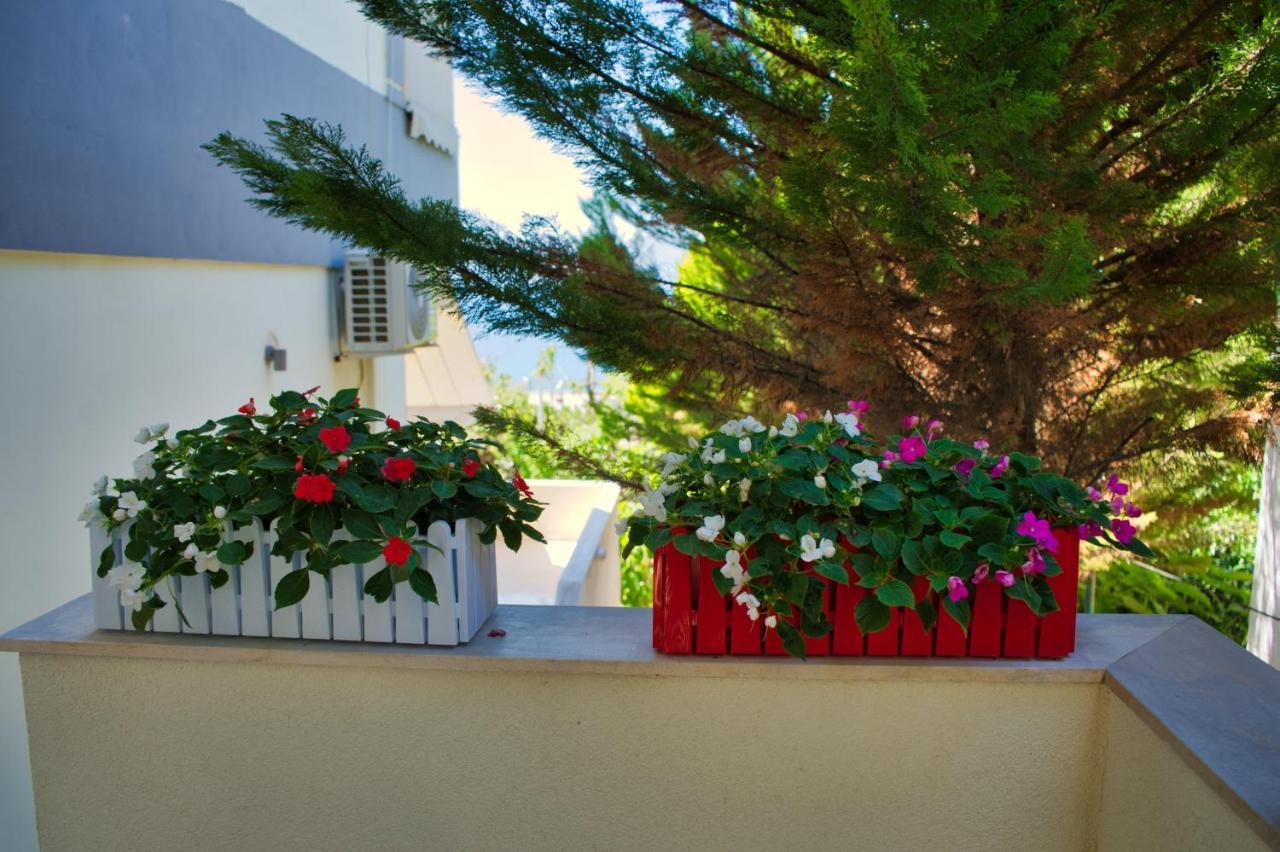 Villa Roel Sarandë エクステリア 写真